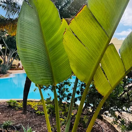 Casa Happyplace * 코라레호