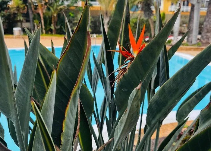 Casa Happyplace 코라레호