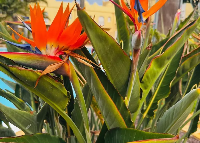 Casa Happyplace 펜션 *