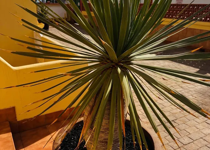 Casa Happyplace 코라레호