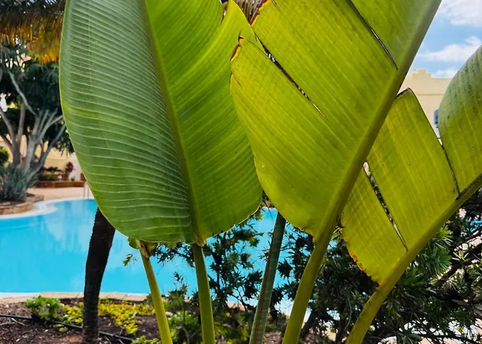 Casa Happyplace * 코라레호