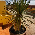 Casa Happyplace - Rooftop - Vue - Sunset Corralejo