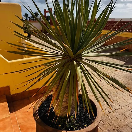 Casa Happyplace - Rooftop - Vue - Sunset Corralejo